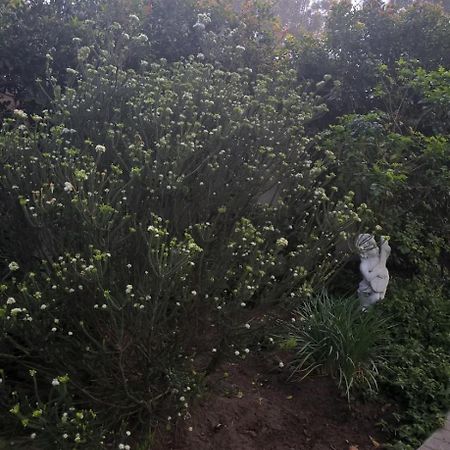 Chaston Manor Hotell Cape Town Eksteriør bilde