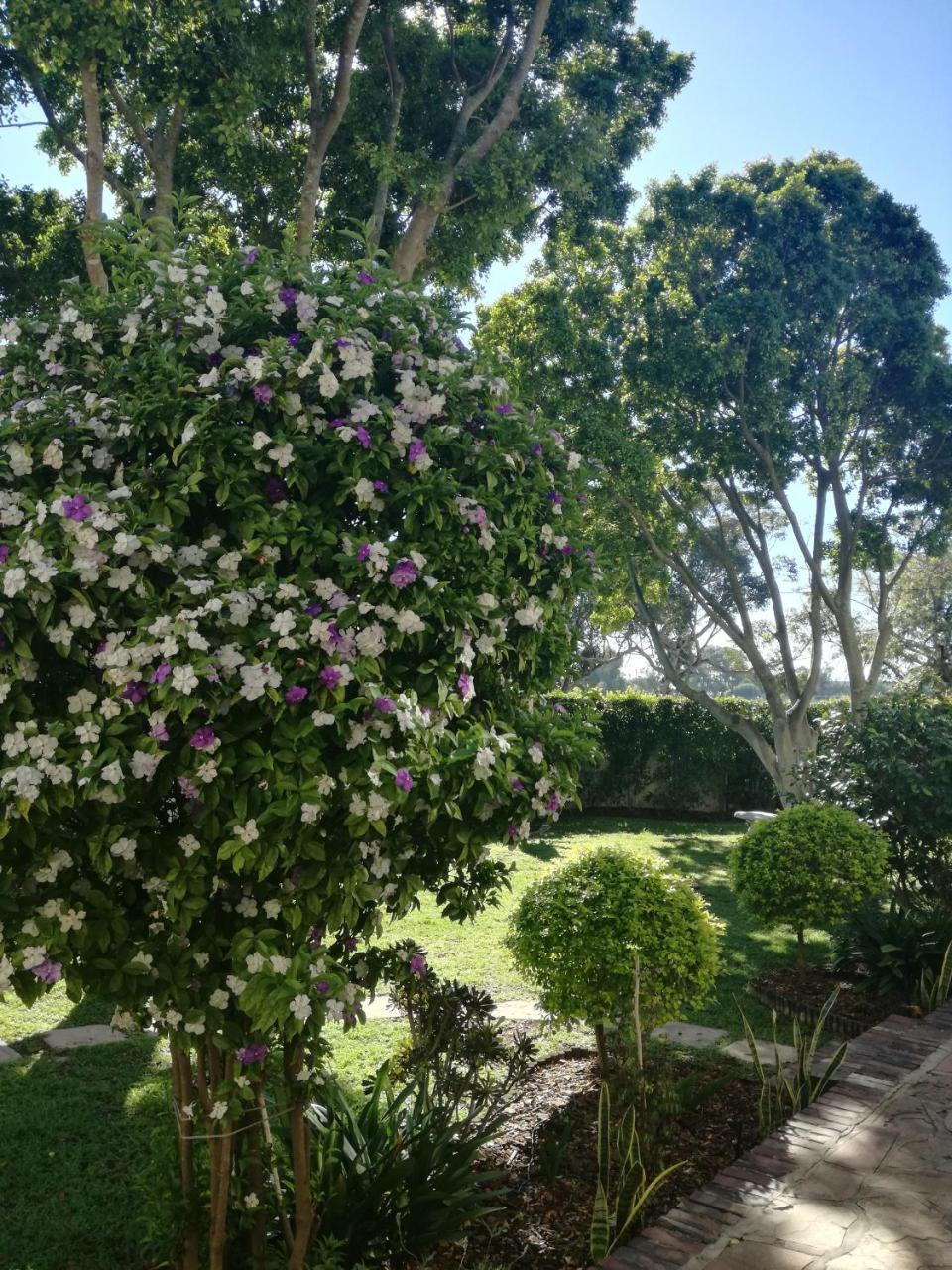 Chaston Manor Hotell Cape Town Eksteriør bilde