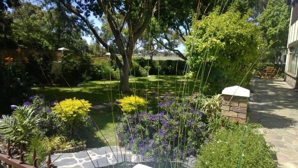 Chaston Manor Hotell Cape Town Eksteriør bilde