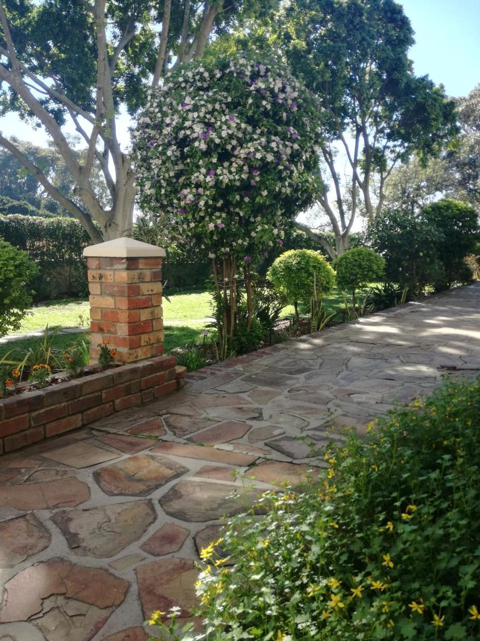 Chaston Manor Hotell Cape Town Eksteriør bilde